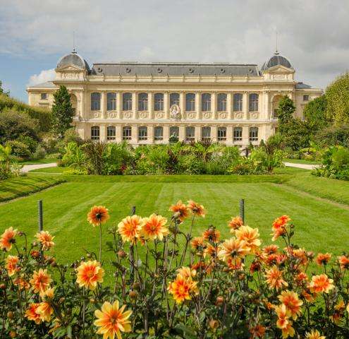 Jardin des Plantes Paris : la science en ses jardins