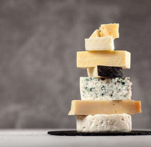 Tasting and Discovery: The Cheese Museum near your hotel